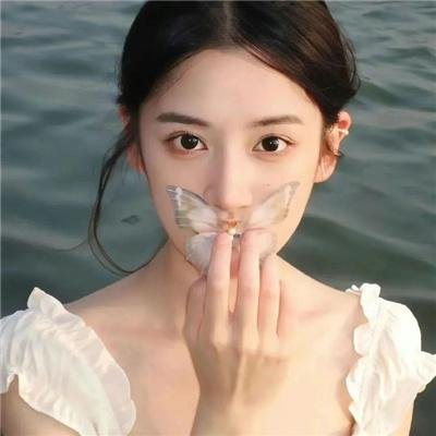 森林随处可见