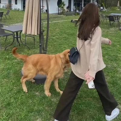 俘虏与逃兵