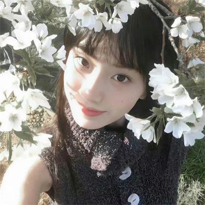 疑雾公堂
